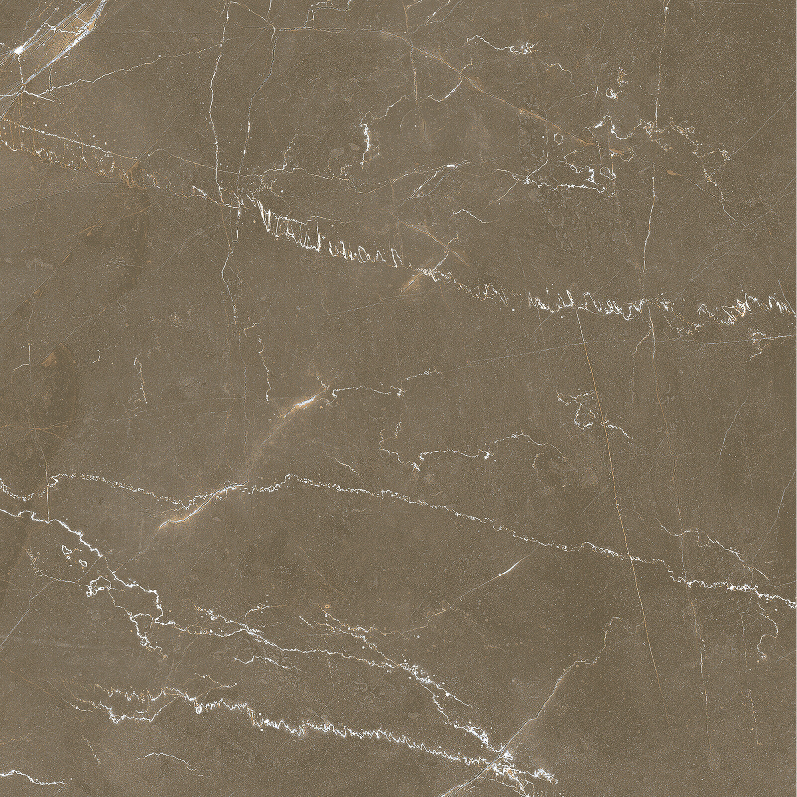 Gulv-/veggflis CROTONE 60x60 Polert